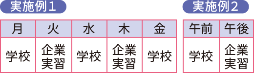 デュアルシステム実施例